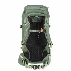 Billig 🤩 Ortovox PEAK 42 S - Tourenrucksack Green Forest 🎉 -TierraOrtovox Verkaufsladen 5637680489 h peak 42 s ortovox 24